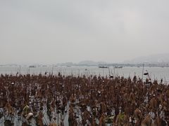 -花迹(富春江东街店)