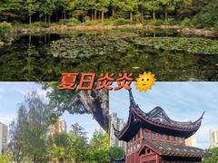 -和平公园