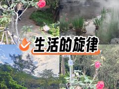 -东莞植物园