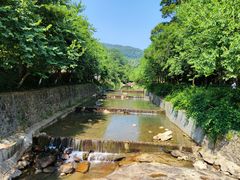 -广州白江湖森林公园