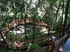-大岭沟猕猴桃谷风景区