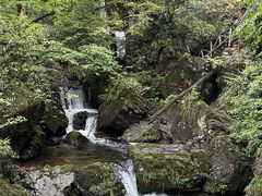 -龙苍沟森林公园
