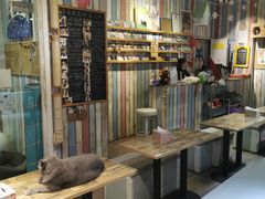-小时光咖啡馆(开森度假森林店)