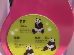 -广州长隆野生动物世界