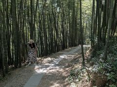 -西湖风景区十里琅珰-五云山