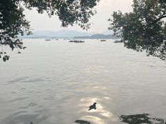 -杭州君悦酒店