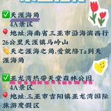 三亚攻略♨️第一次去三亚‼️吃住行玩正确玩法