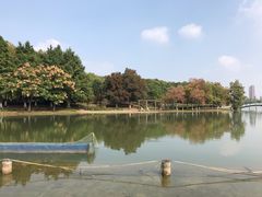 -白塘生态植物园