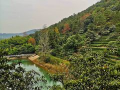 -九龙潭景区
