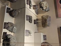 -甘肃地质博物馆