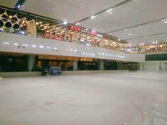 -TheRink大零溜冰场(IFS国金中心店)