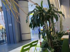-烹然四季椰子鸡火锅(姚家园万象汇店)