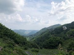-长沙黑麋峰国家森林公园