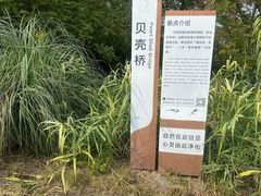 -同里国家湿地公园