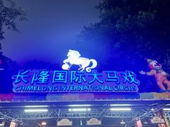 -广州长隆国际大马戏