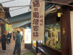-猫的魔法密林(衣裳街店)