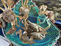 -阳澄湖大闸蟹·琼灵阁牌品牌连锁(吴中总店)