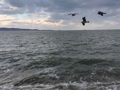 -悦海公园