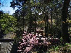 -红螺寺