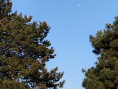 -秦始皇帝陵博物院(兵马俑)