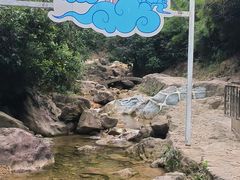 -南海湾森林生态园