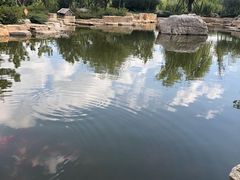 -羊亭河湿地公园