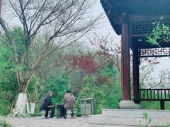-重庆彩云湖湿地公园