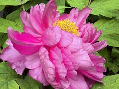 -木塔寺遗址生态公园