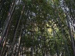-包公祠