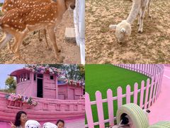 -渔岛海洋度假区