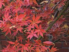 -浙江大学(玉泉校区)