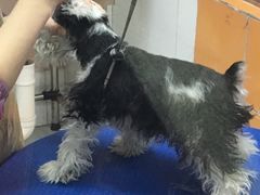 -惠康宠物医院(华能路店)