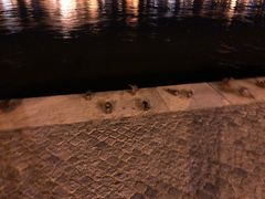 -多瑙河畔鞋履雕塑