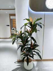 -康美贞·痘肌养护管理中心