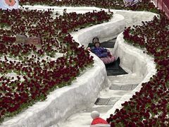 -广州热雪奇迹