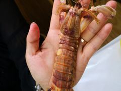 清蒸皮皮虾-北戴河庆山饭店·海鲜砂锅粥(北戴河黑石路店)