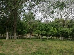 -江苏科技大学(梦溪校区)