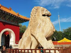 -北陵公园