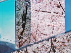 -龙美术馆(西岸馆)