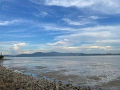 -深圳湾公园(南山区)
