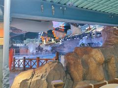 -海合安青岛极地海洋公园