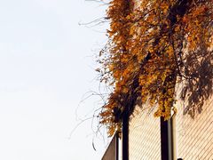-C Cafe(朵云书院·戏剧店)