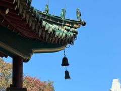 -真庆观