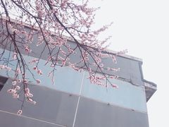 -吉林大学(南岭校区)