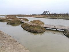 -春花秋色城市公园