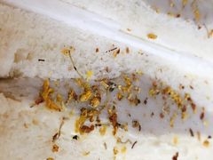 -啊噗吐呦现场烘焙(麦凯乐店)