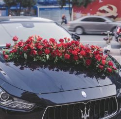 -喜乐汇·婚车(华润橡树湾3期店)