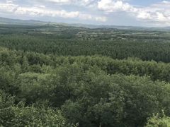 -塞罕坝国家级自然保护区