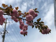 -苏州河梦清园环保主题公园