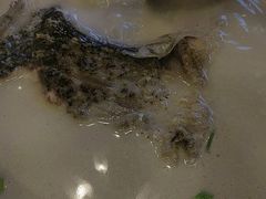 -浔庐餐厅•江西老字号•九江菜(南湖国际店)